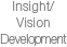 Insight/Vision Development